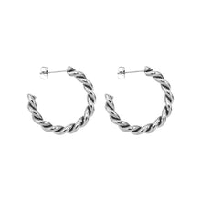 Load image into Gallery viewer, Silver Paris Earrings