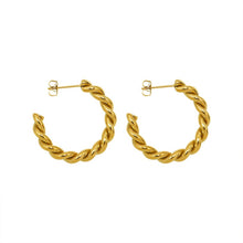 Load image into Gallery viewer, Gold Paris Earrings
