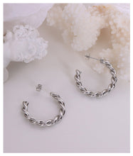 Load image into Gallery viewer, Silver Paris Earrings
