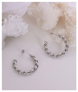 Silver Paris Earrings